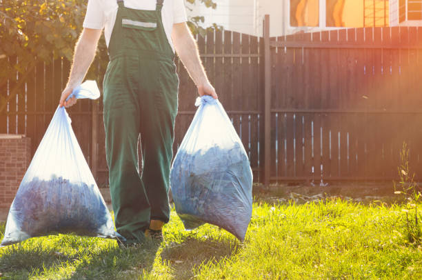 Best Furniture Removal  in Wimauma, FL